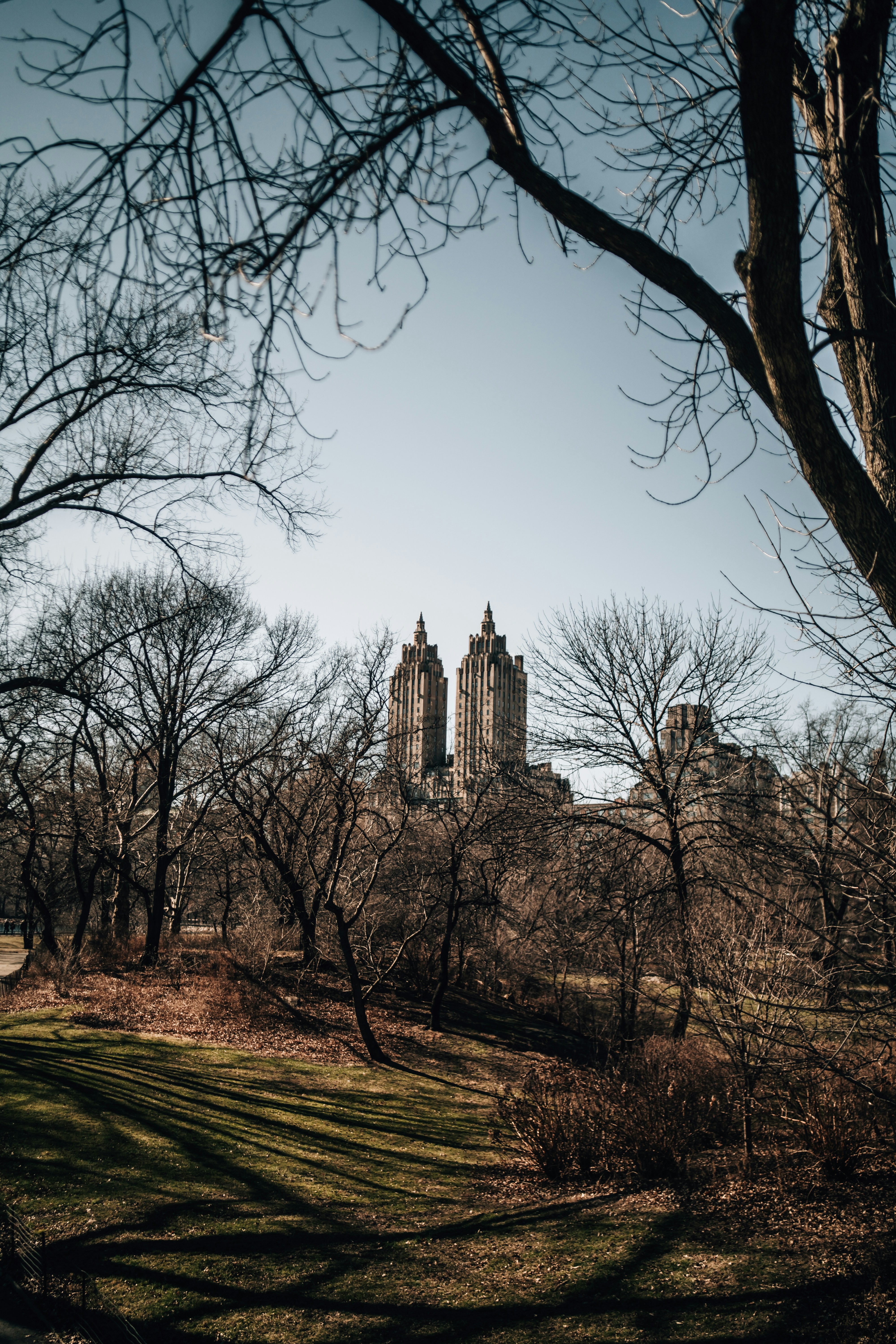 Photo by neotronimz