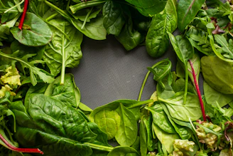 green leaves on gray textile