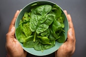bowl of raw spinach, spinach day, March 26
