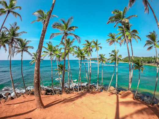Sri Lankan coastline