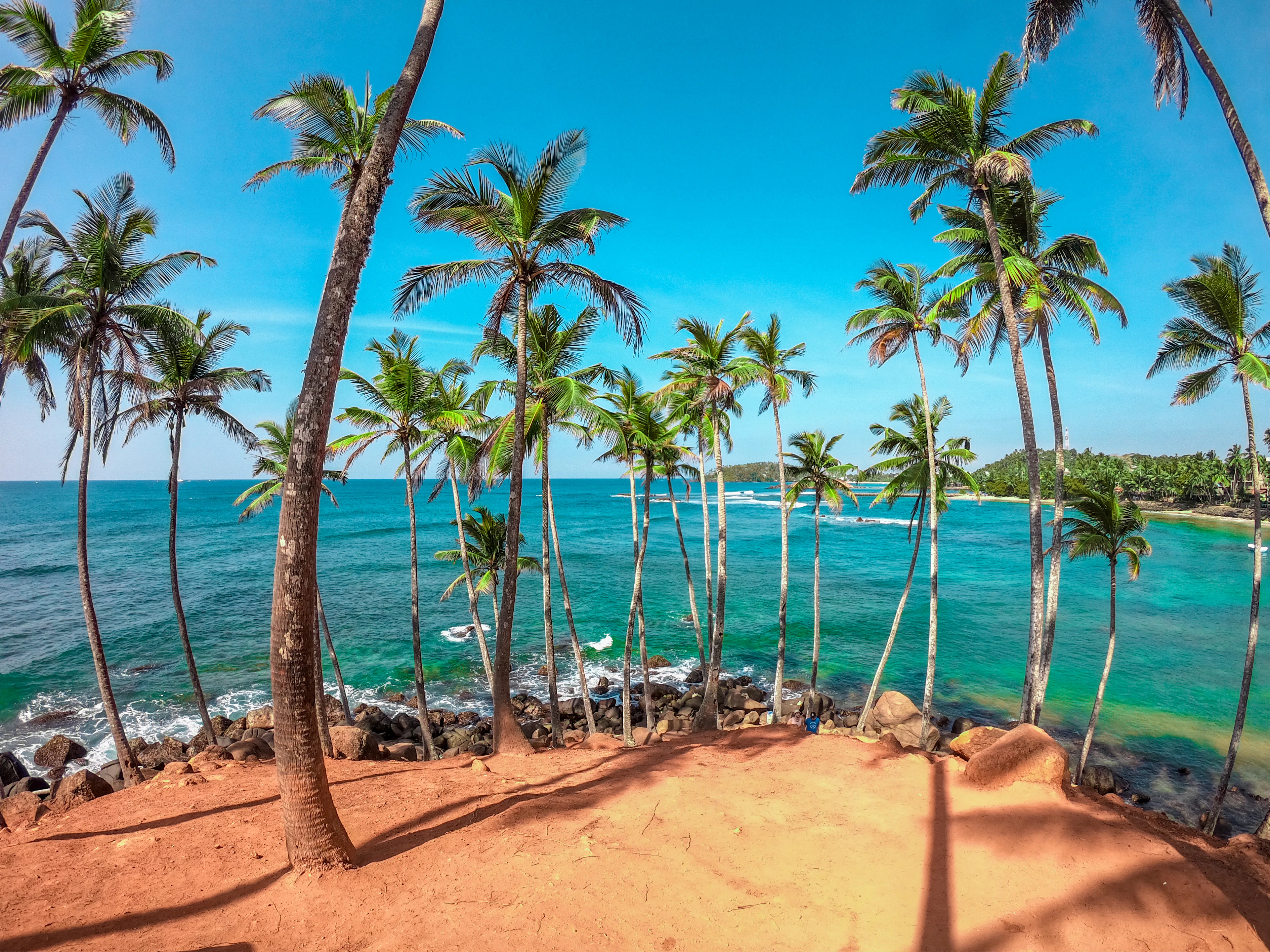 Palm trees above the beach at Mirissa, on Sri Lanka's south coast