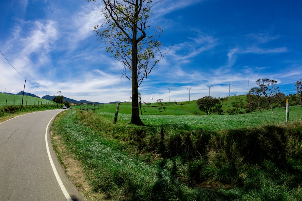 green grass field near road under blue sky during daytime