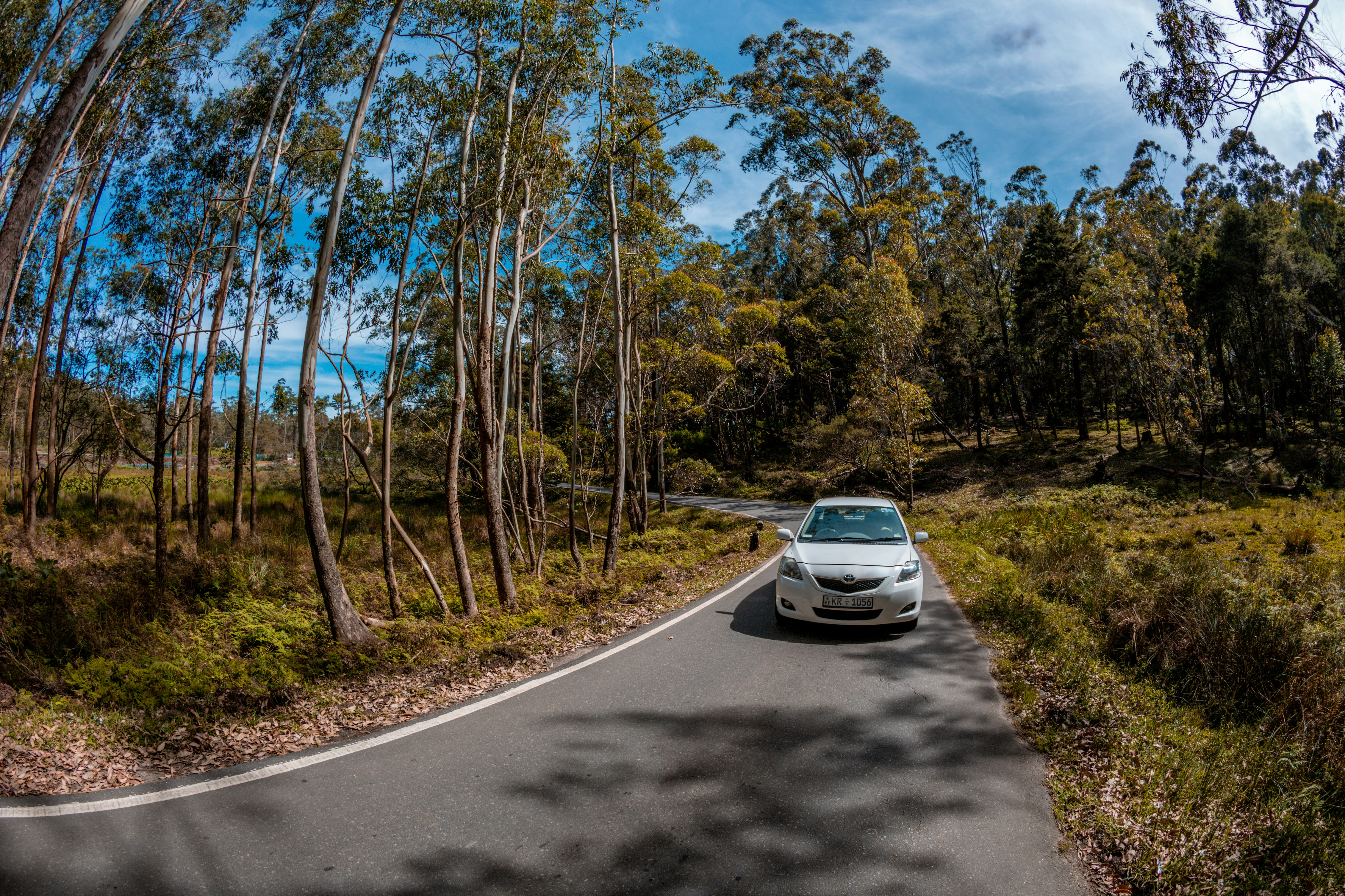 silver car on road between trees during daytime