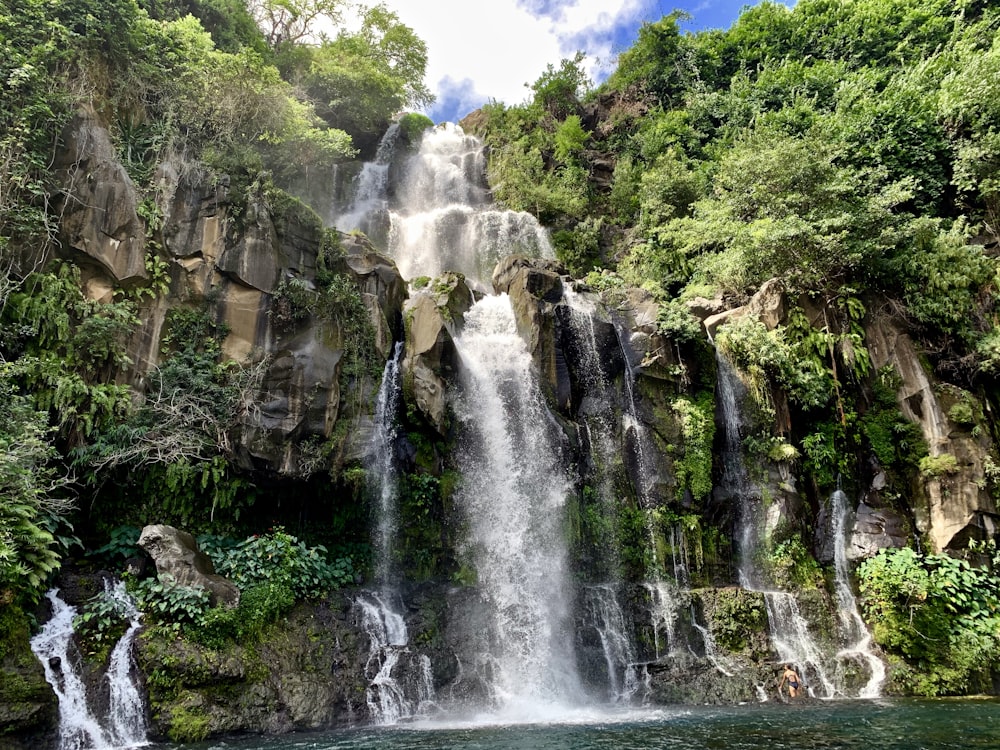 waterfalls in the middle of the forest during daytime