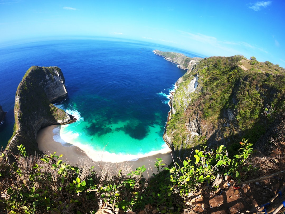 Nature reserve photo spot Kelingking Beach Bali Bird Park