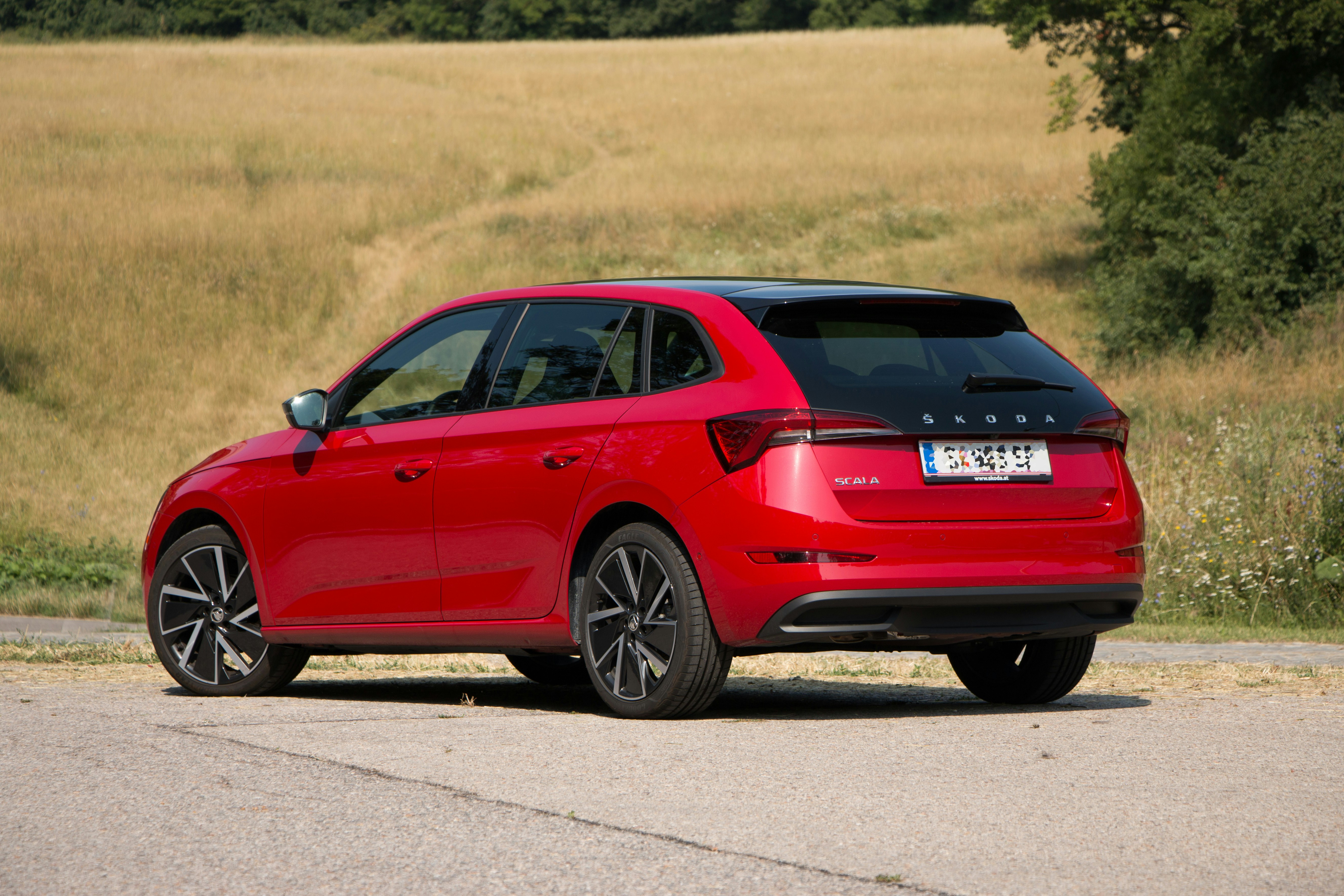 Photo by marmotusdrey