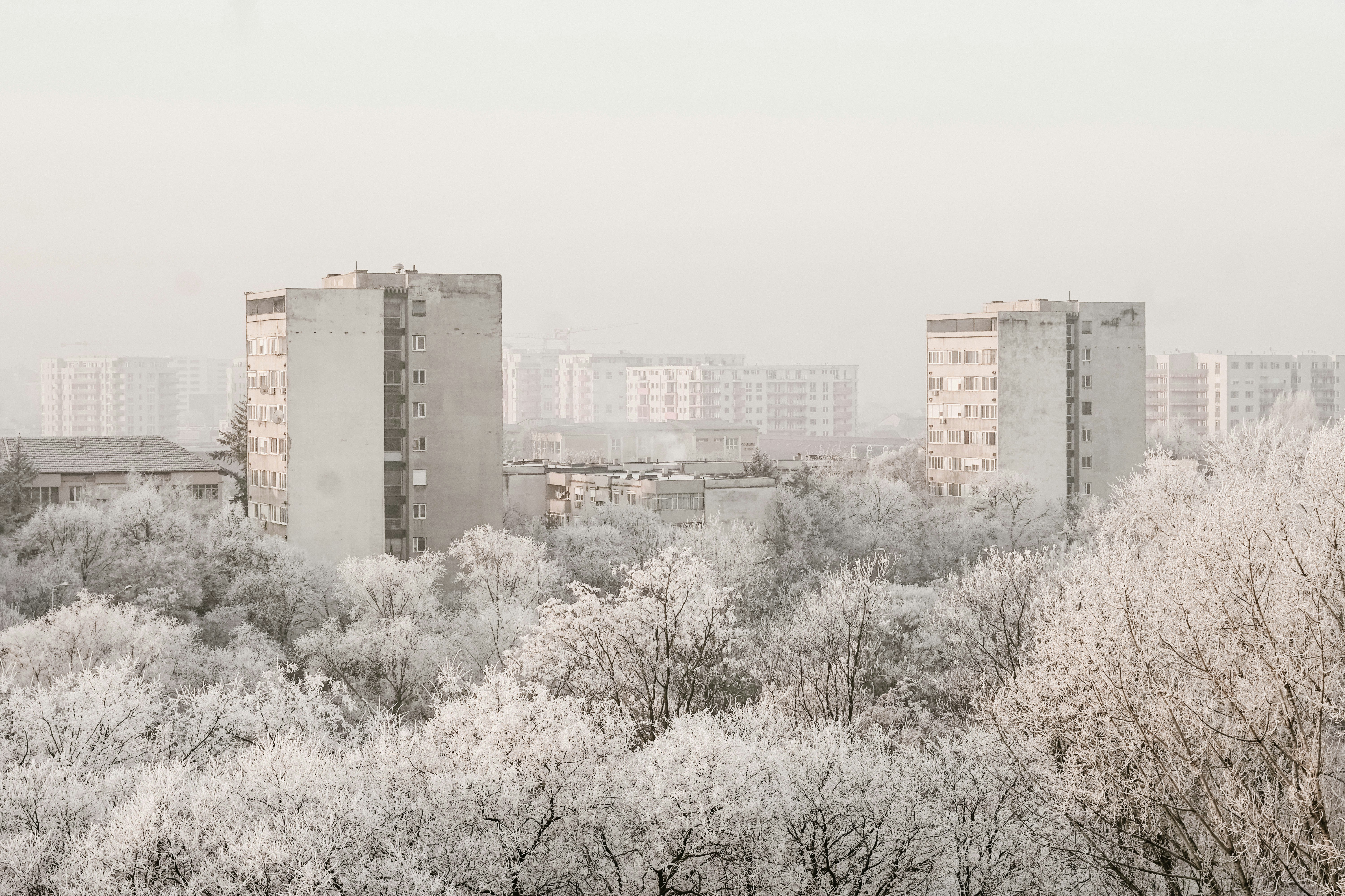 Photo by heftiba