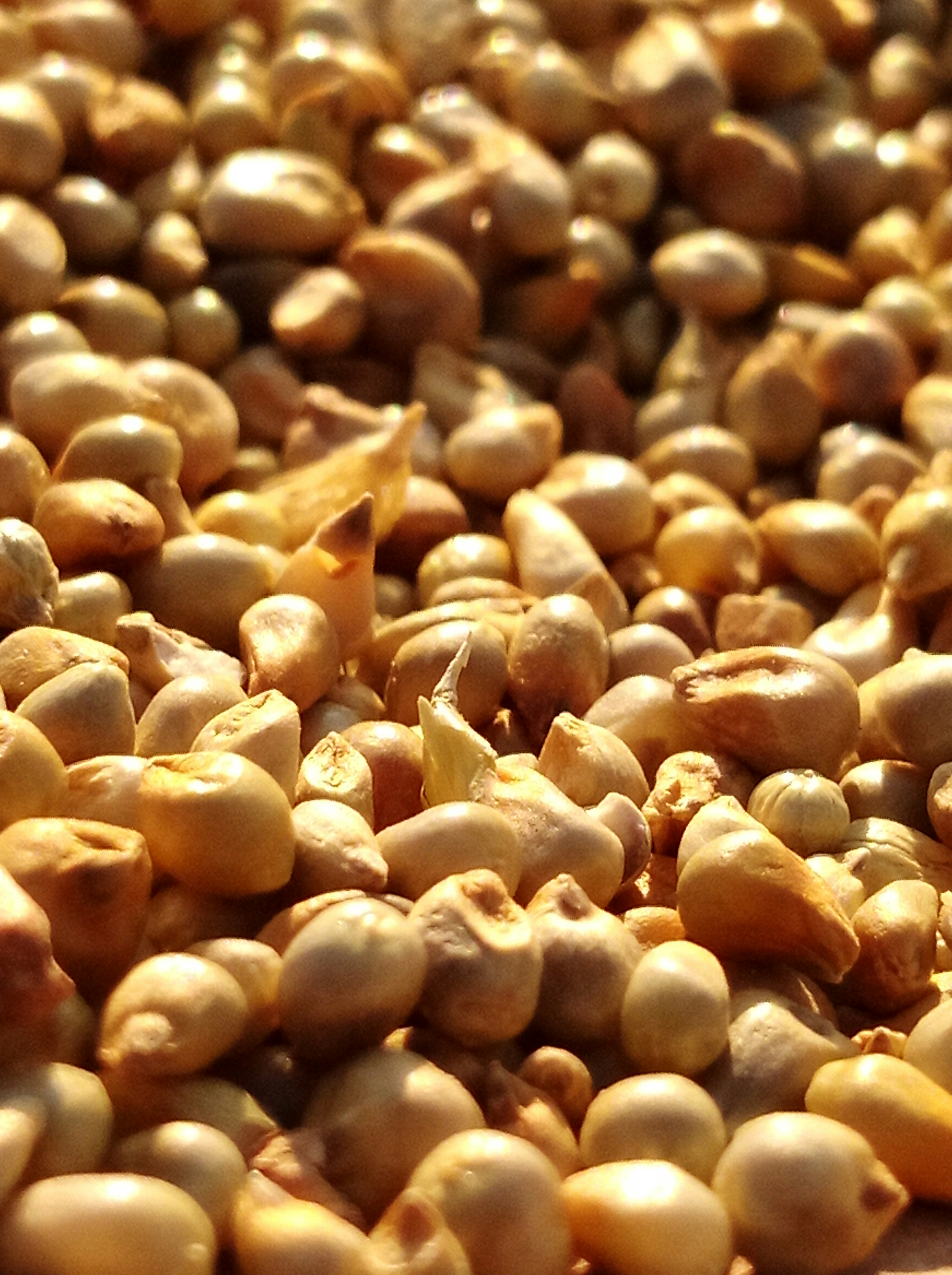 Photo by fani_bhatti