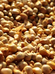 brown and black beans in close up photography