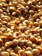 brown and black beans in close up photography