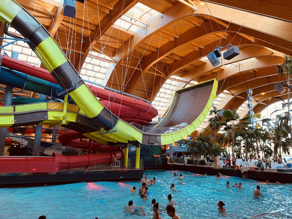 people swimming in pool during daytime