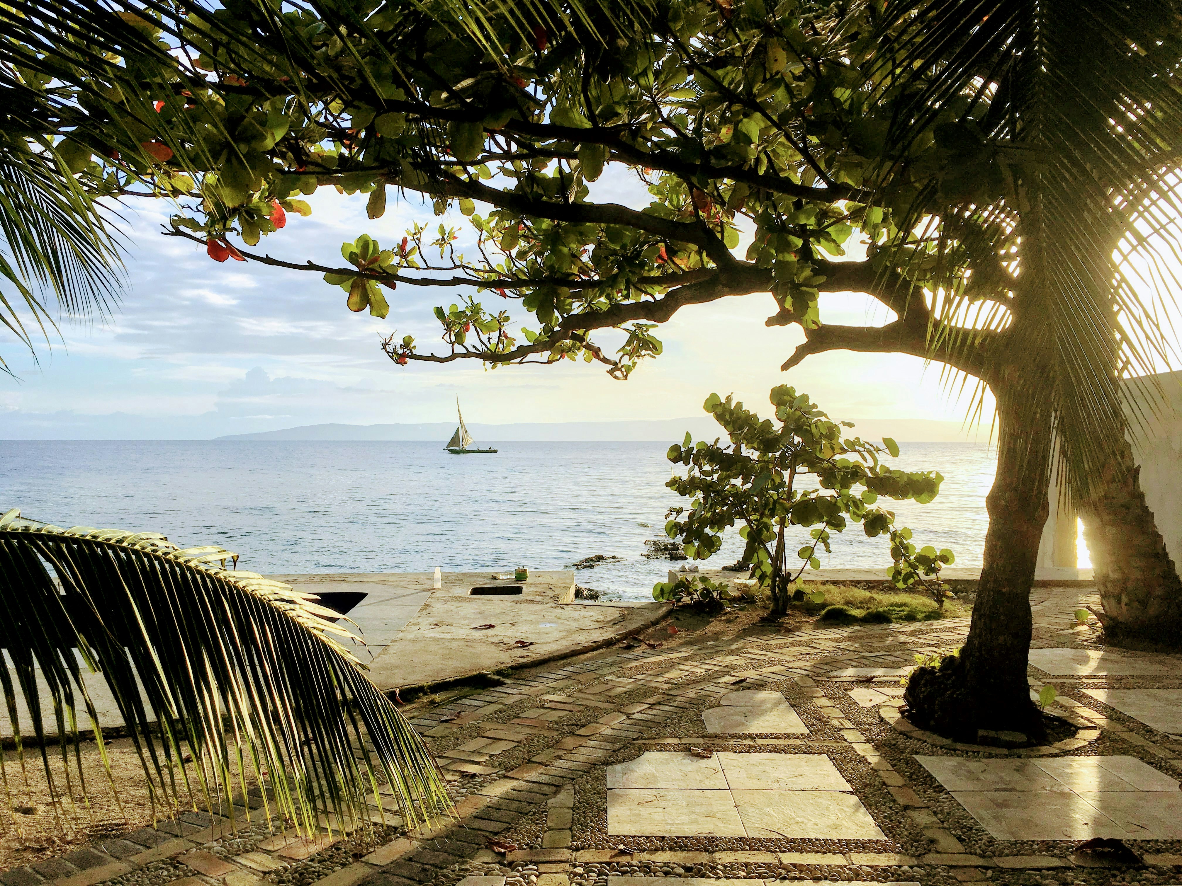 green tree near body of water during daytime, A Haitian afternoon by the beach. Haiti is know of it