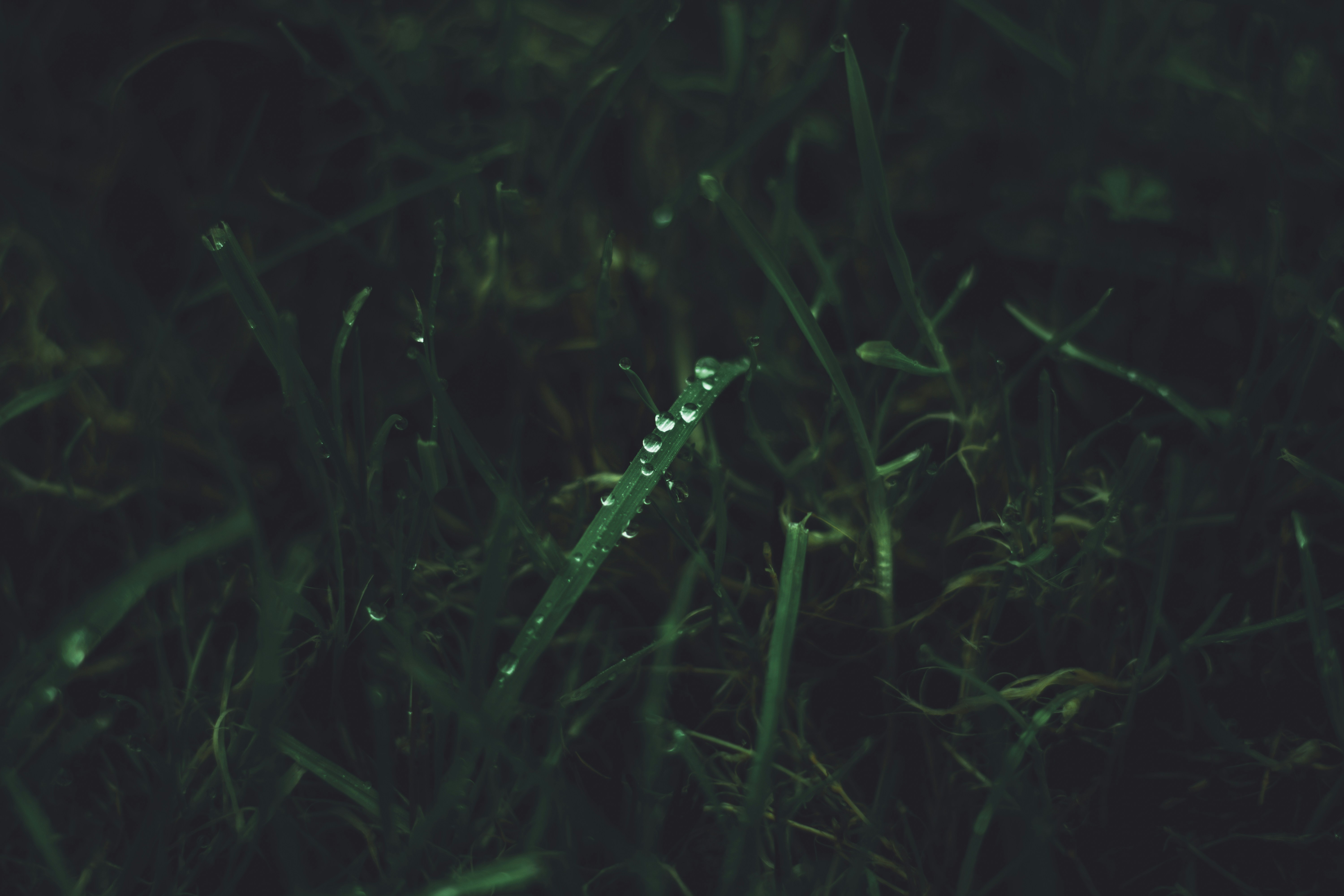 Photo by clement_roy