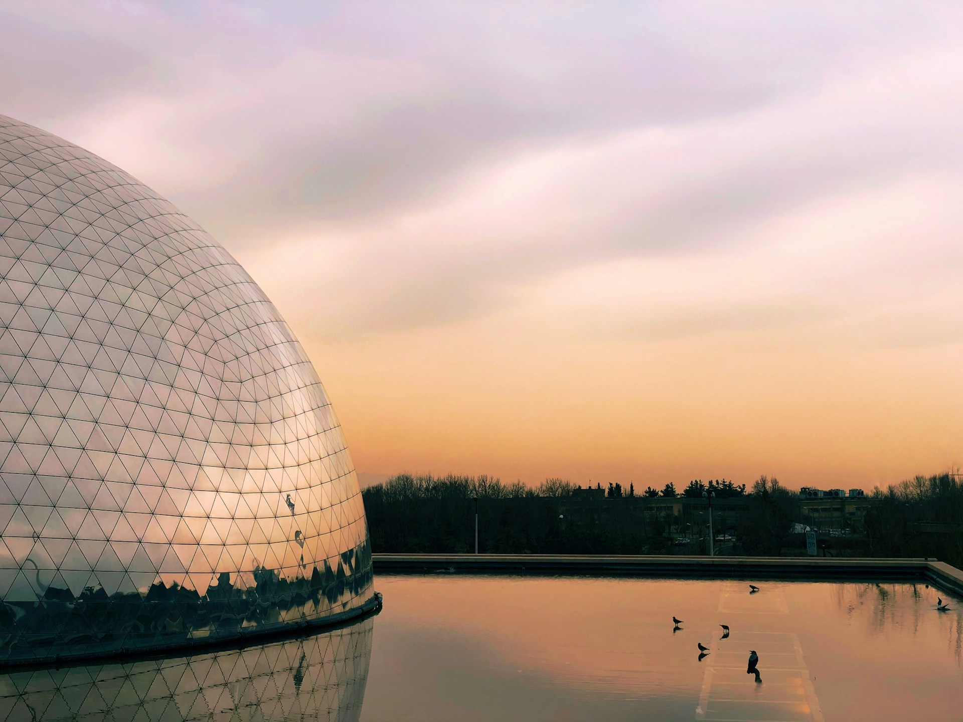 gray computer monitor