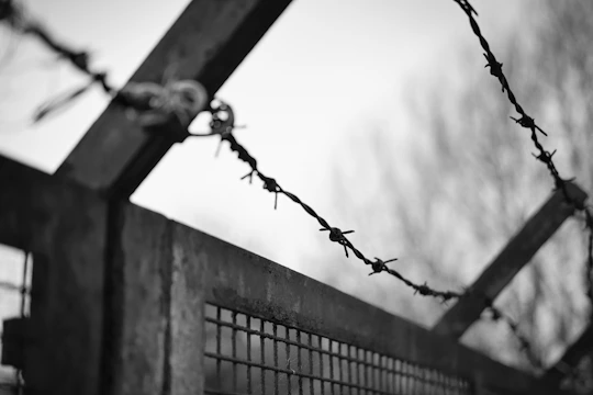 Monochrome image of a minimalist aluminum fence bordering a manicured lawn in a Suffolk County neighborhood.