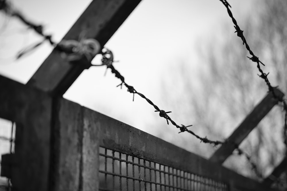 grayscale photo of barb wire