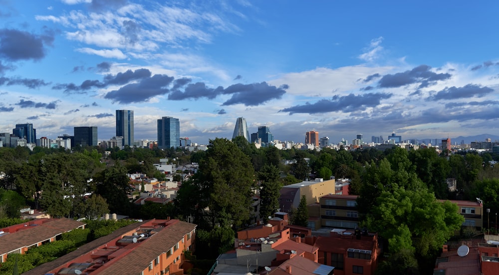 green trees and city buildings under blue sky and white clouds during daytime