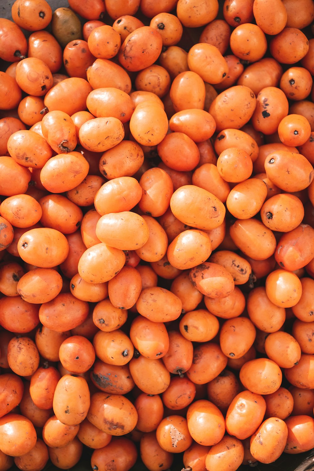 orange fruits on brown wooden table