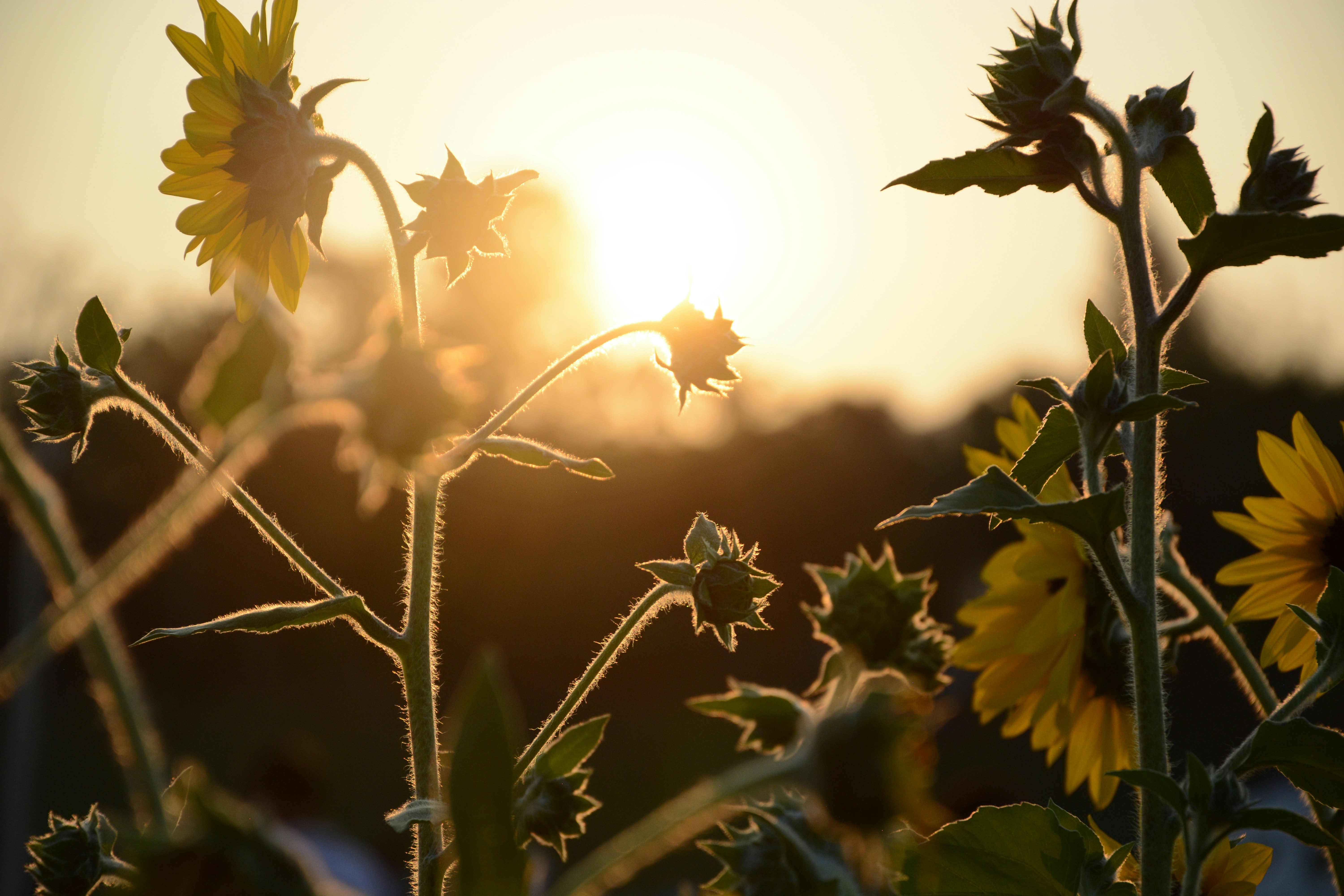 Photo by marielouise134