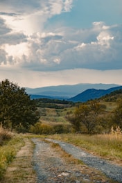 green trees on mountain under white clouds during daytime