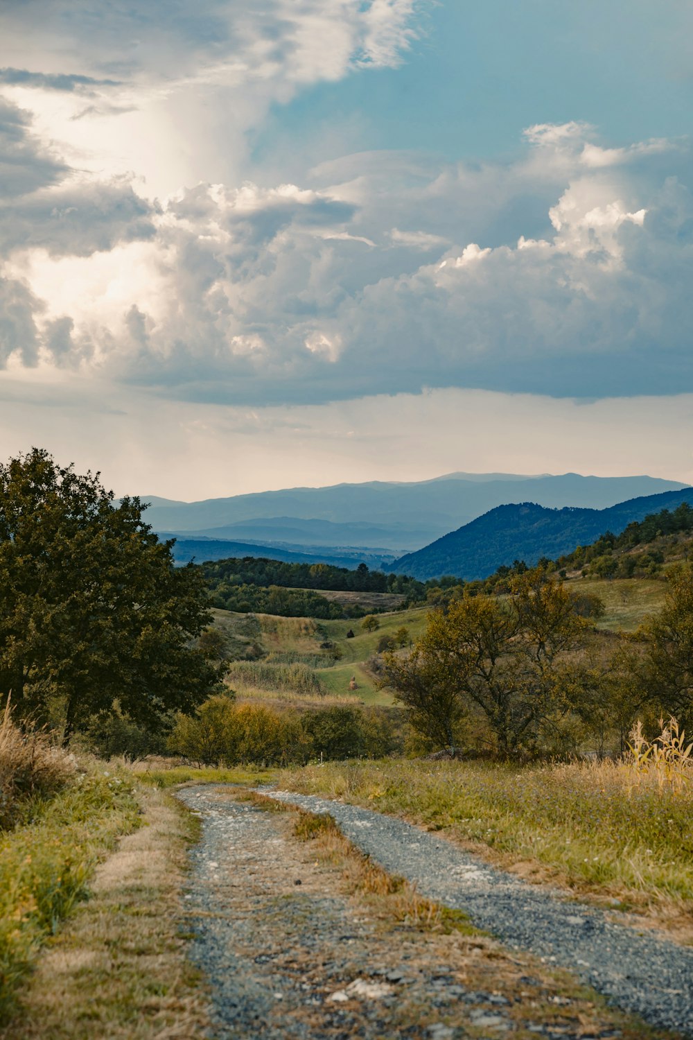 green trees on mountain under white clouds during daytime