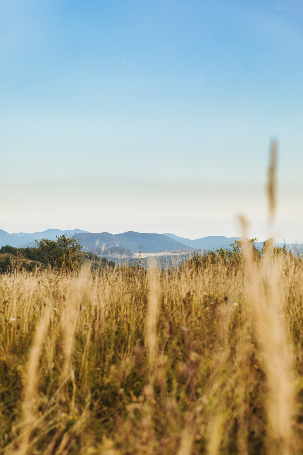 brown grass field near mountain under blue sky during daytime