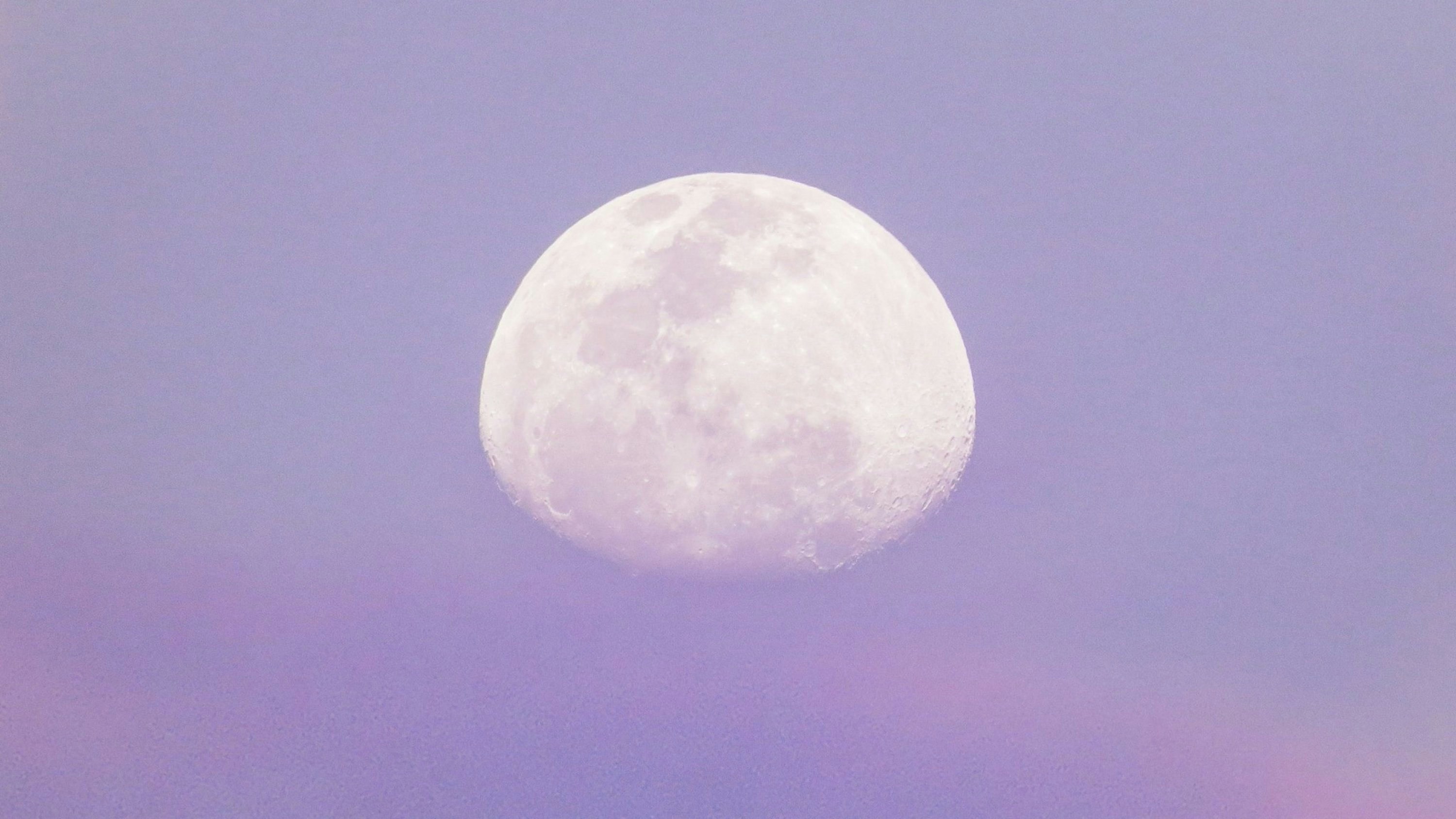 Venus DOGE header image