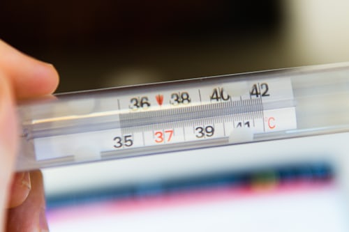 temperature scale