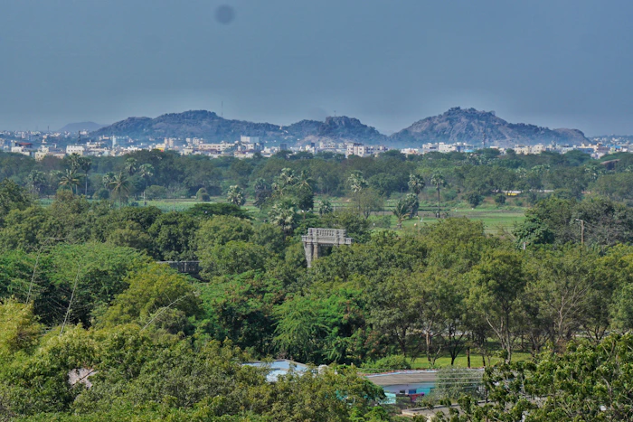 Best Hotels With Rooftop Pools in Warangal for Skyline Swims
