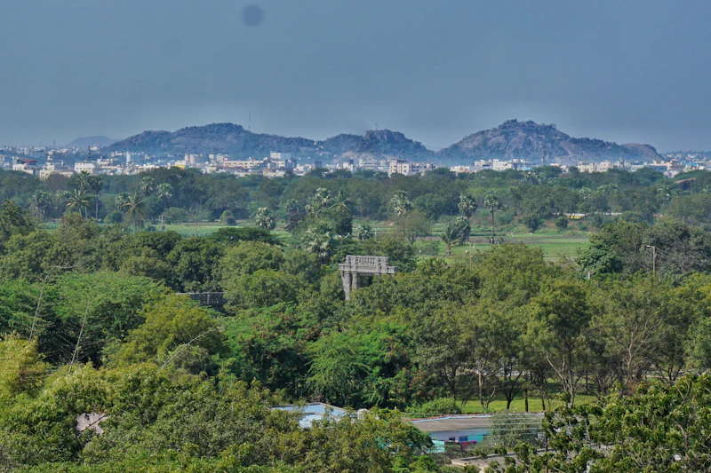 Best Boutique Hotels in Warangal for Style, Character, and No Chain-Hotel Vibes