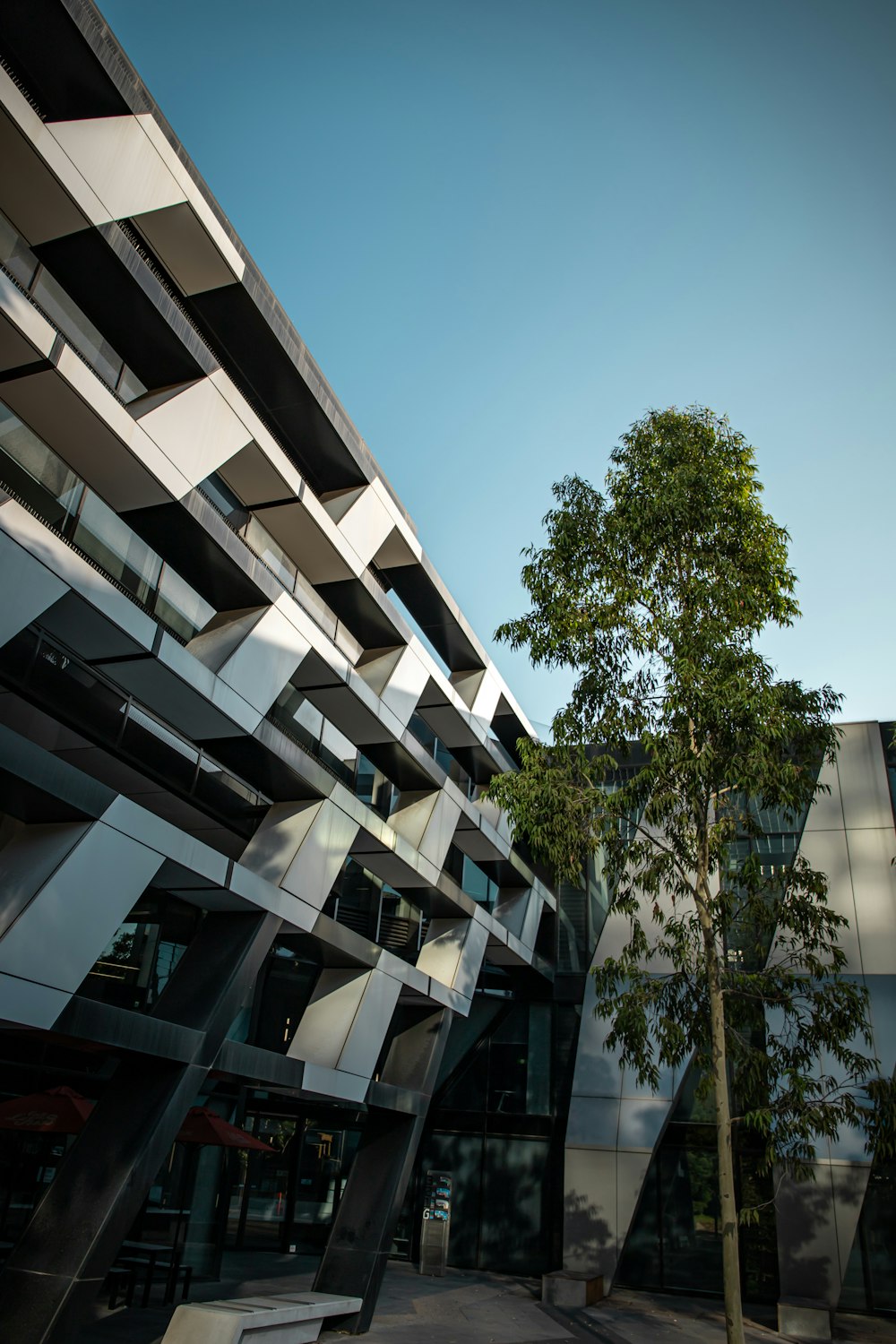 white concrete building near green tree during daytime