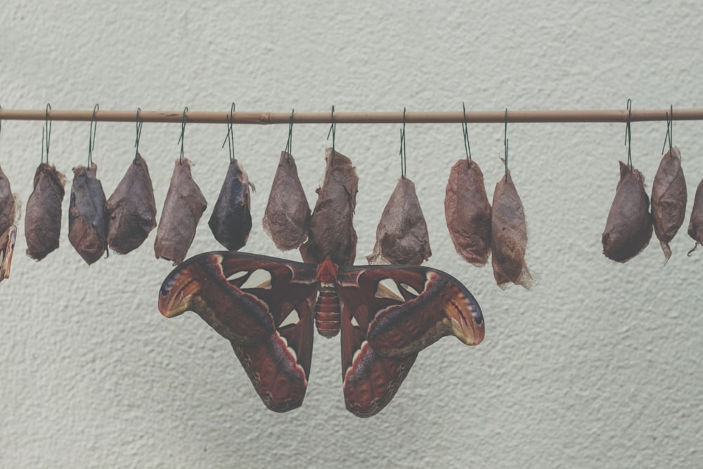 Decoración de pared de madera marrón y roja