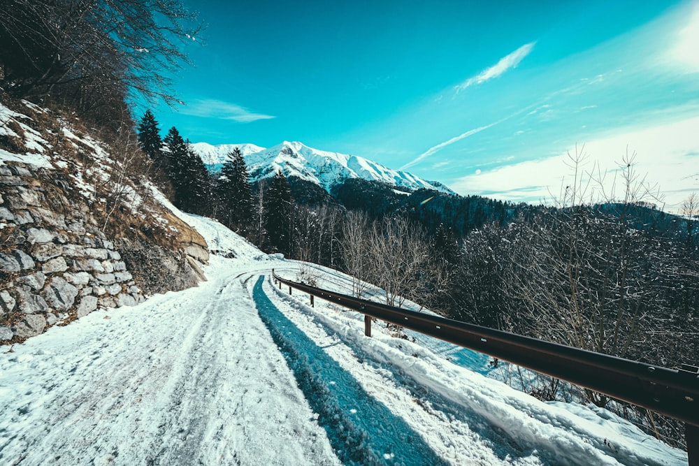 Schneebedeckte Straße in der Nähe von Bäumen und Bergen unter blauem Himmel tagsüber