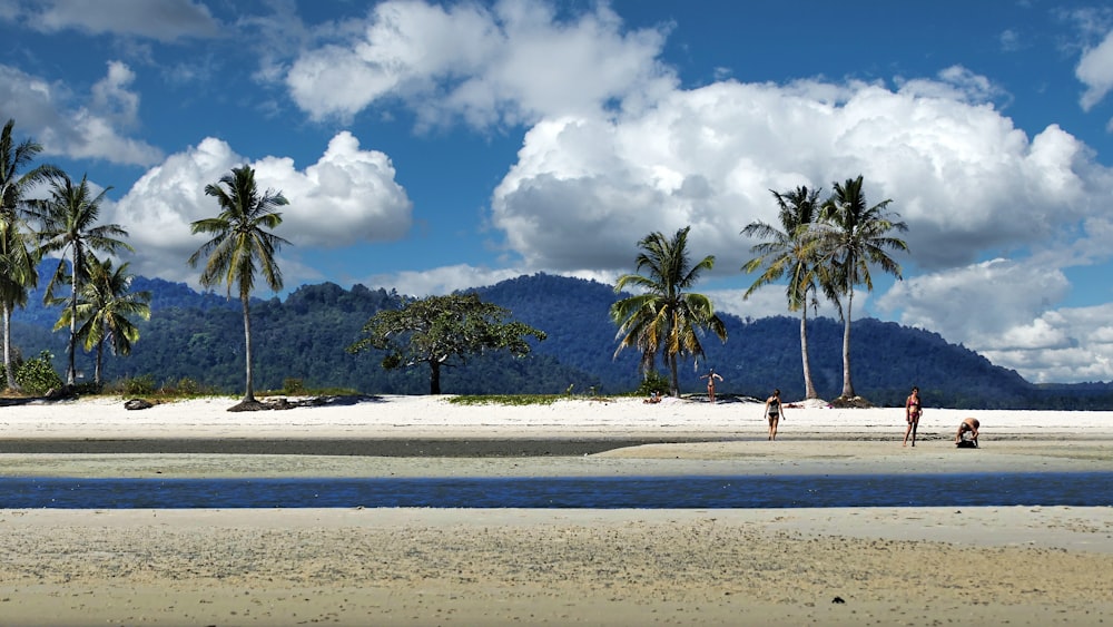 people walking on beach during daytime