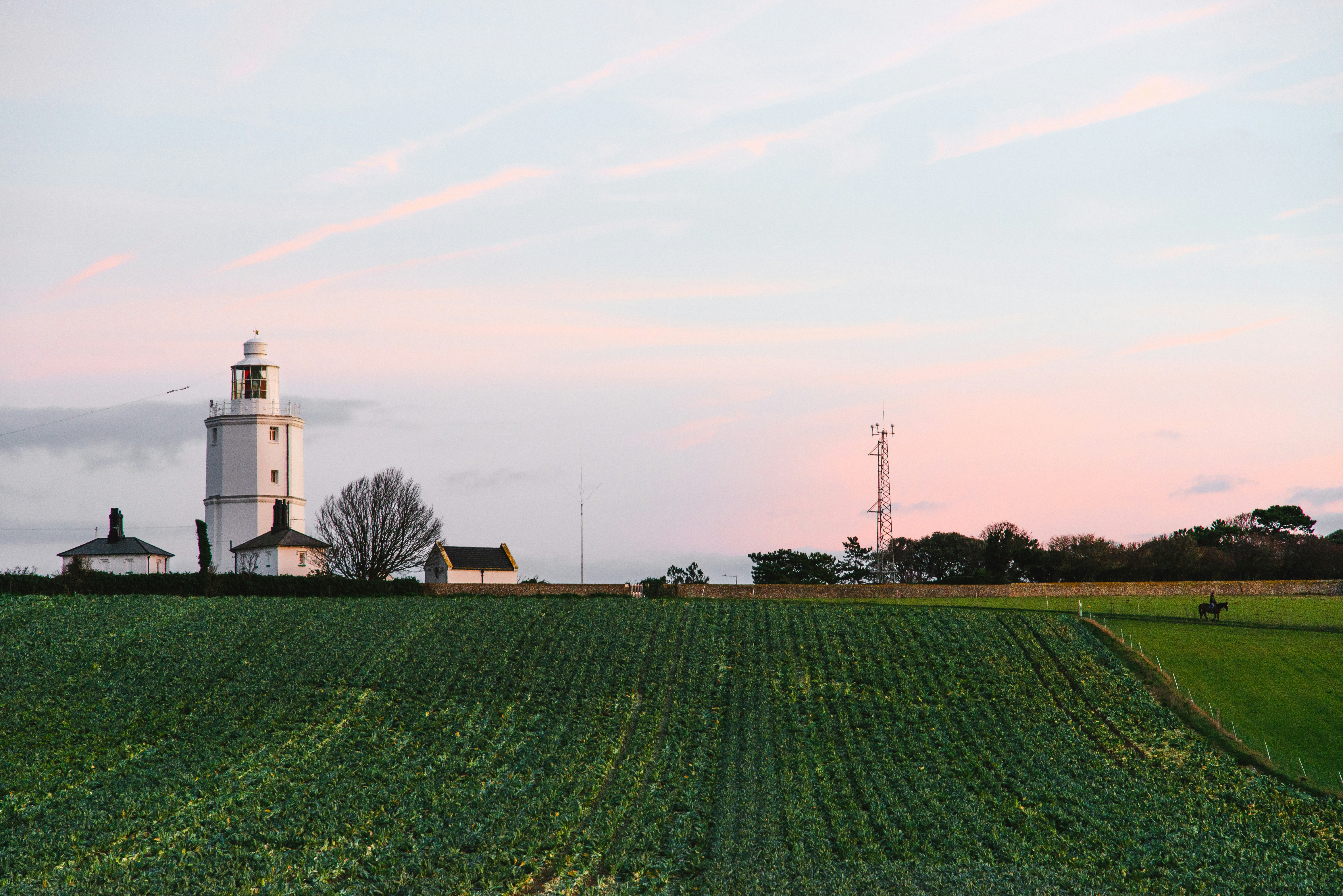 Weißes Haus auf grünem Rasenfeld unter blauem Himmel tagsüber