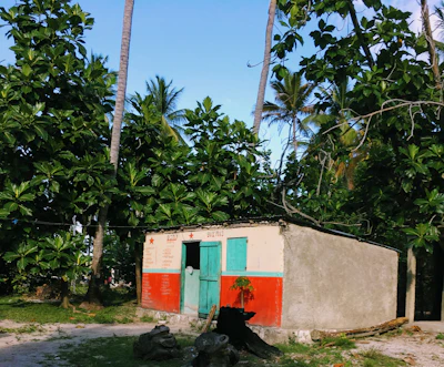 Casa de hormigón con techo a cuatro aguas rodeada de palmeras en el Caribe