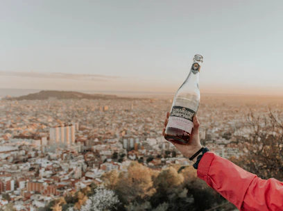 person holding coca cola bottle