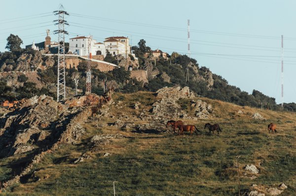 Dehesa grazing land in the countryside outside the city — Cáceres, Spain