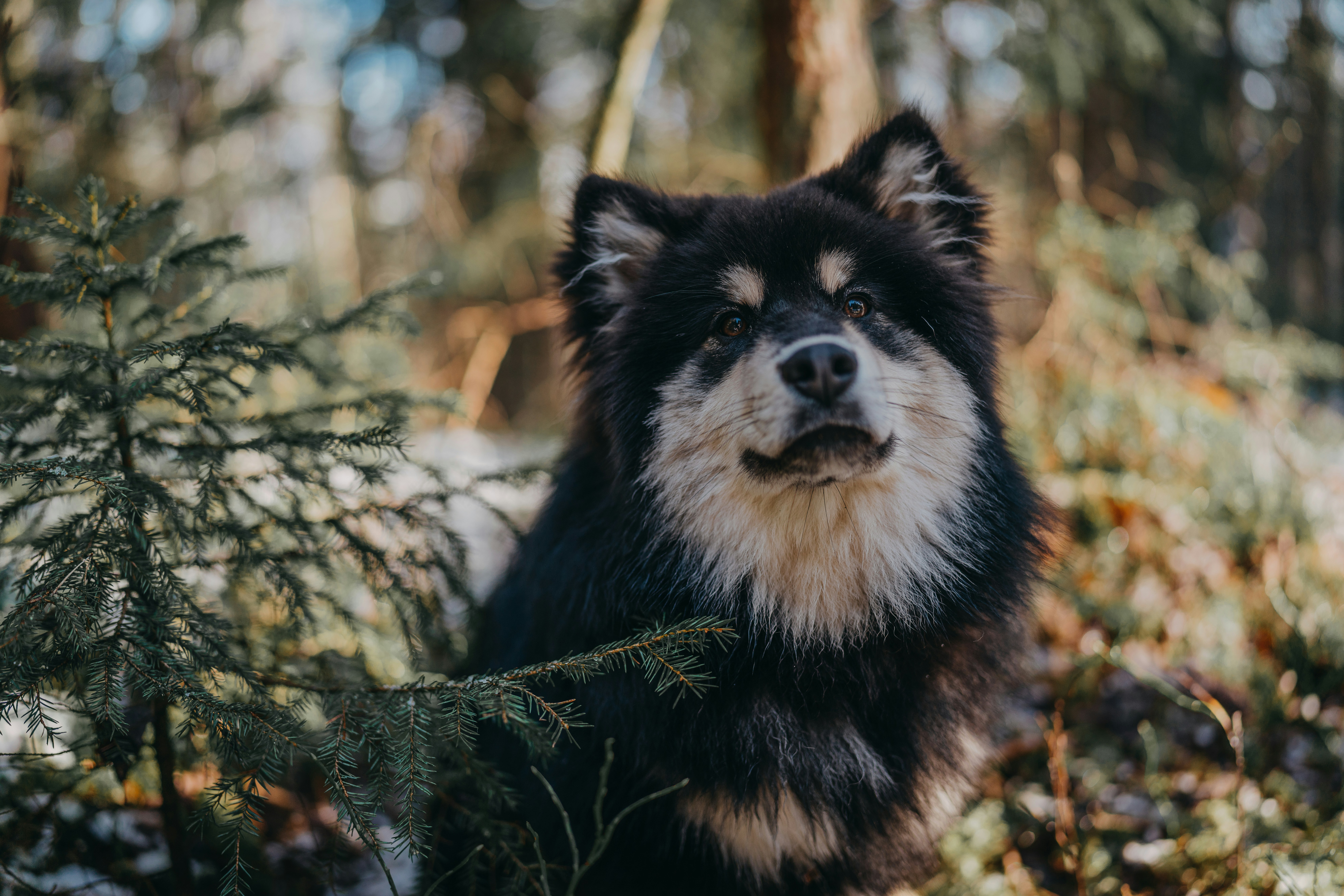 Photo by itfeelslikefilm