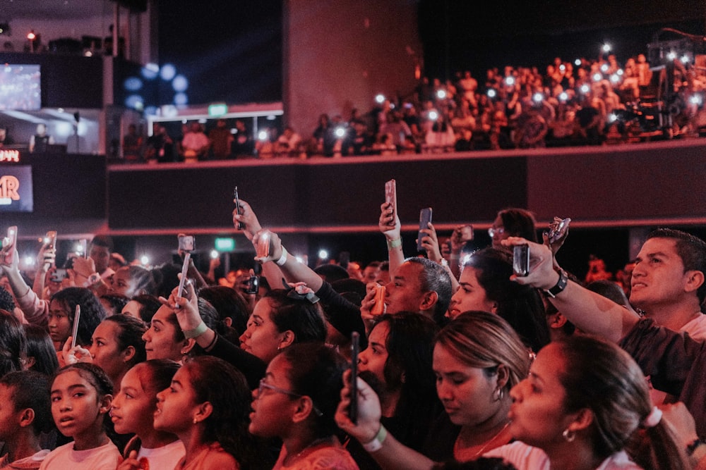 people gathering in a concert