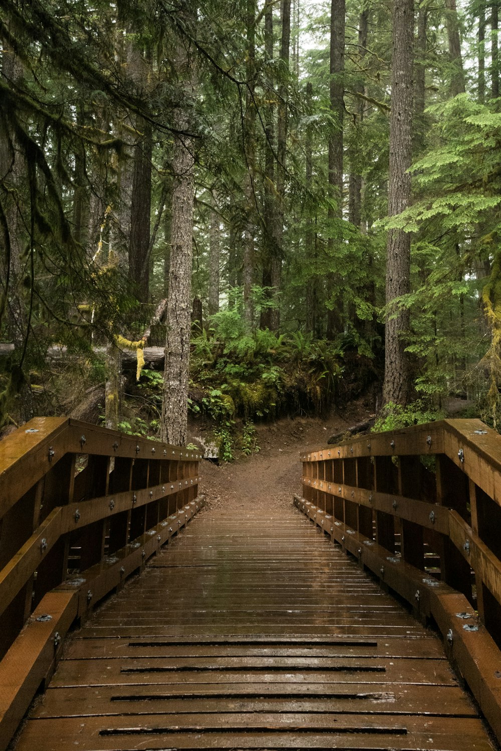 brown wooden bridge in the woods