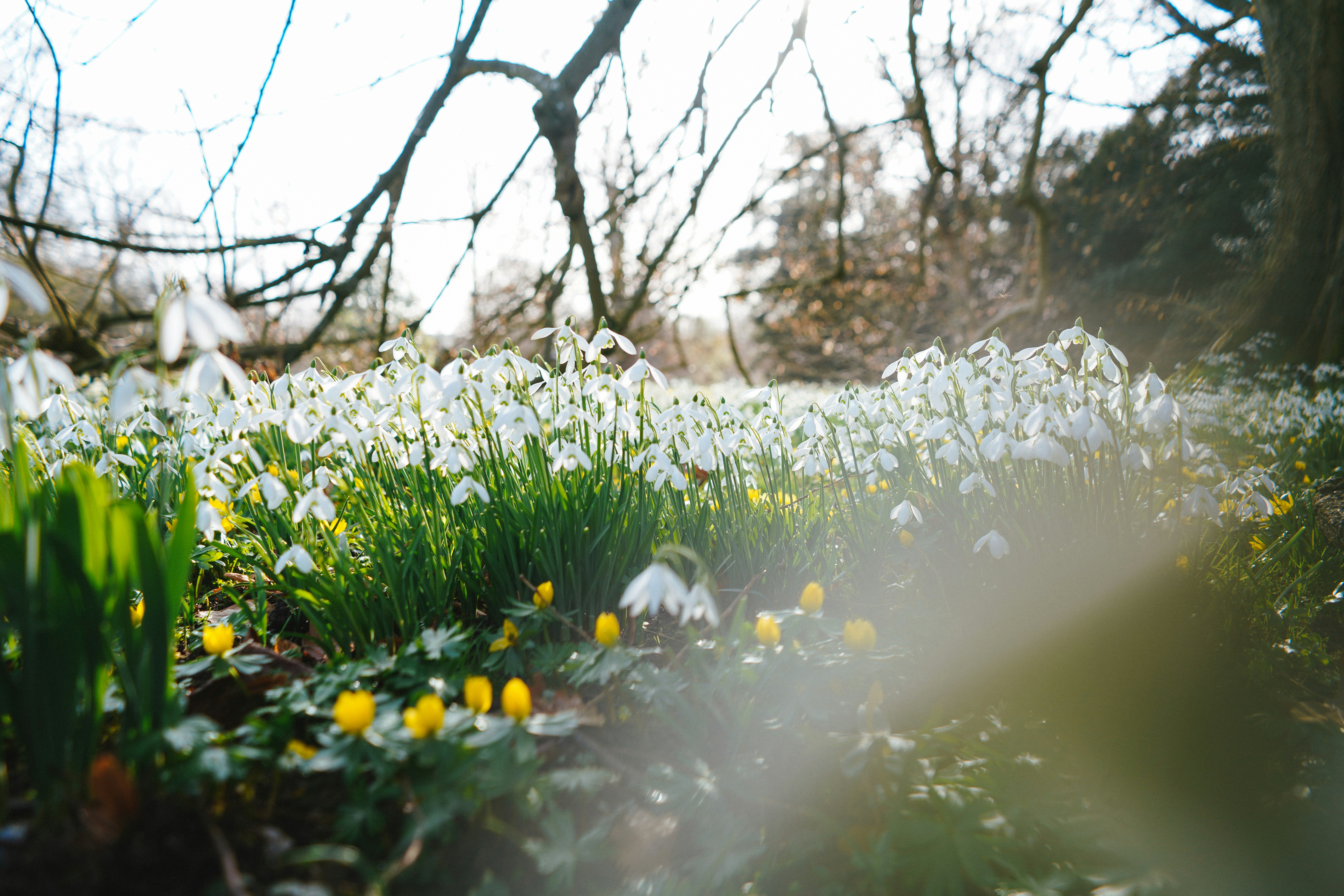 Photo by philhearing