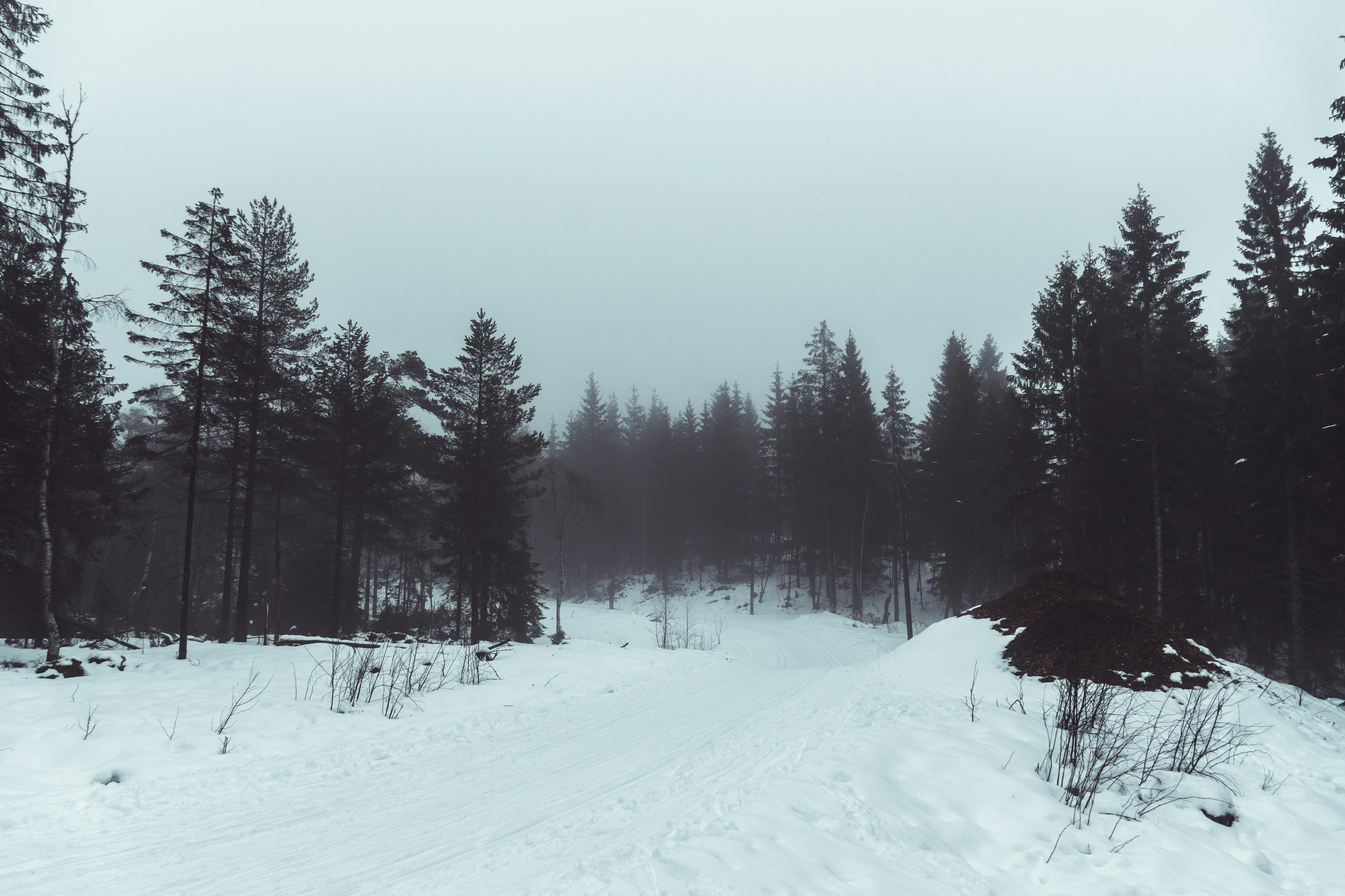 Photo by jeancarloemer