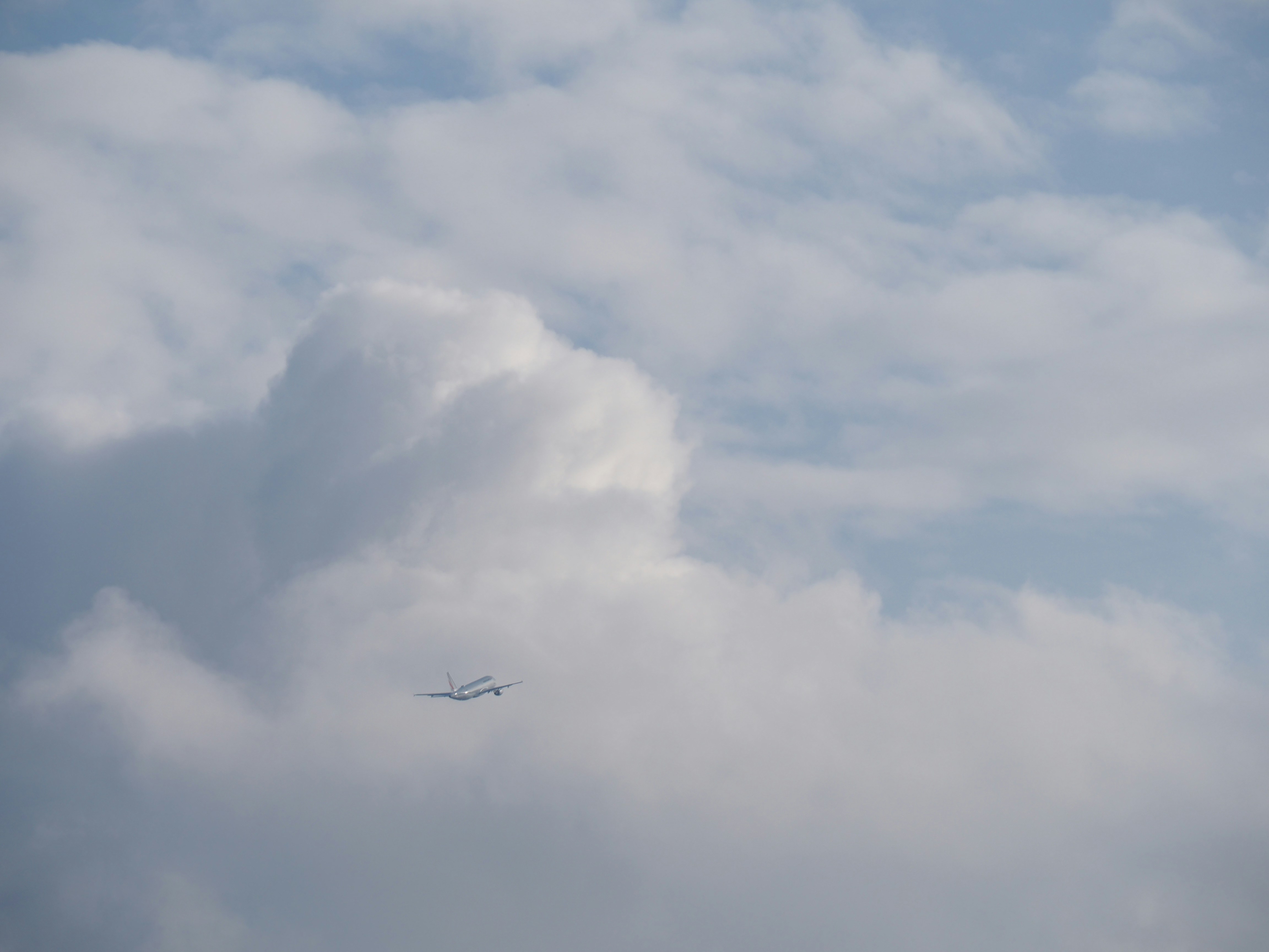 Photo by nimbus_vulpis