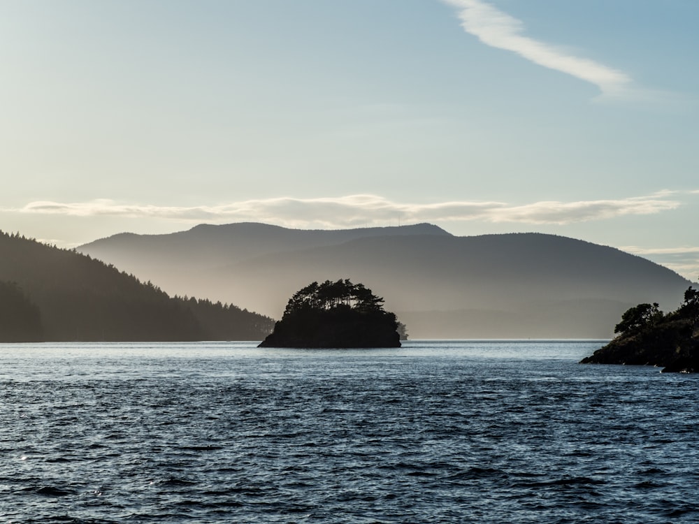 silhouette of tree on island during daytime