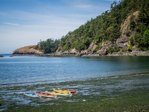 A serene coastal scene at sunset with kayaks lined up on the shore.
