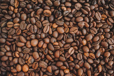 Close-up of Arabica coffee beans