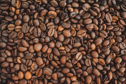 焙煎したてのコーヒー豆