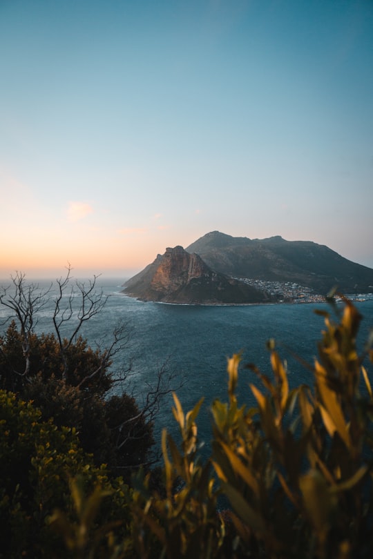 green mountain beside body of water during daytime in Table Mountain National Park South Africa