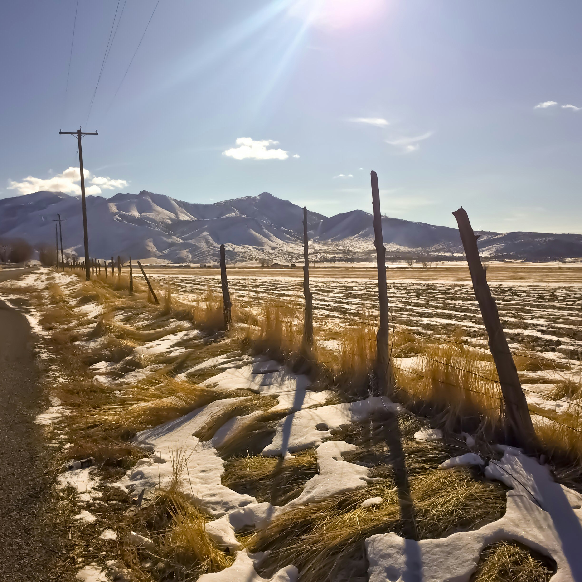 Photo by nozytreeman